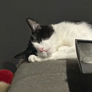 Meet your Posher, Ashlyn